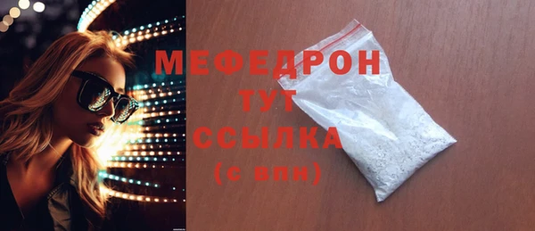 стаф Губаха