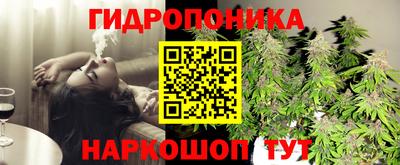 скорость Кингисепп