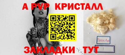 скорость Кингисепп