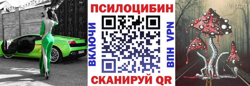 OMG ССЫЛКА  Малоярославец  Псилоцибиновые грибы мицелий 
