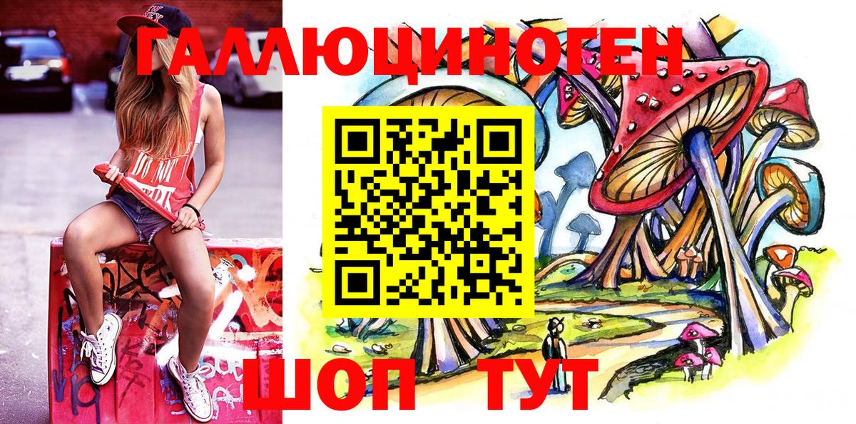 Галлюциногенные грибы Psilocybine cubensis Малоярославец