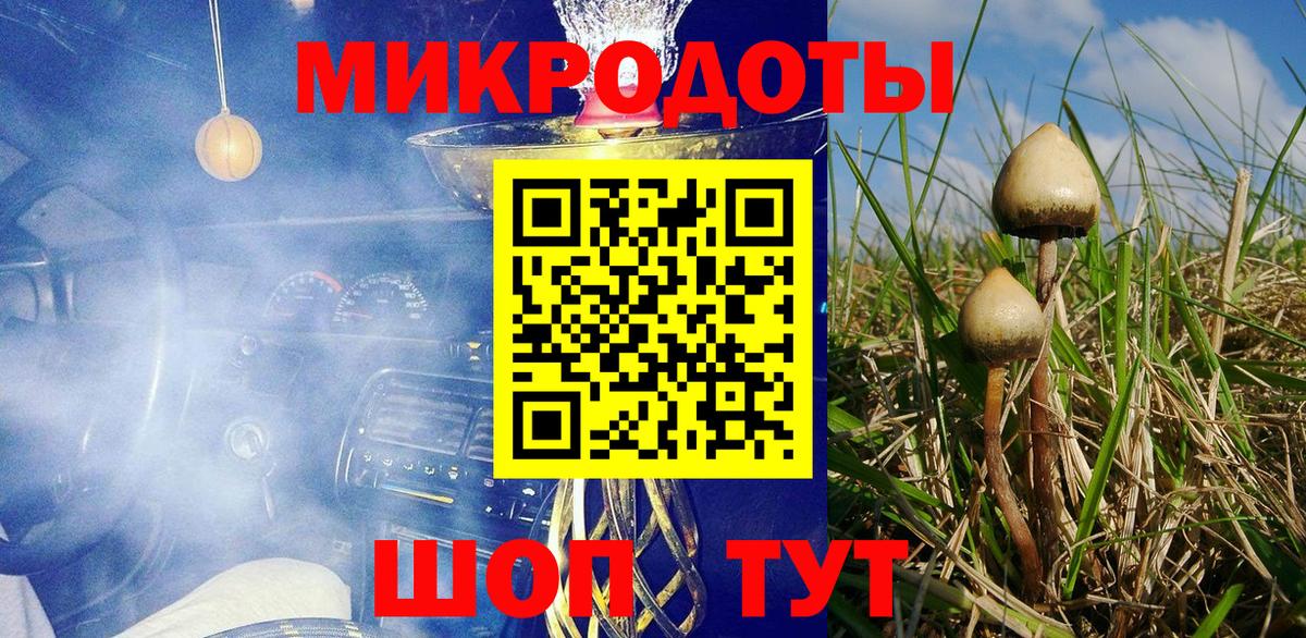 Псилоцибиновые грибы MAGIC MUSHROOMS  где продают   Малоярославец  Вход с VPN 